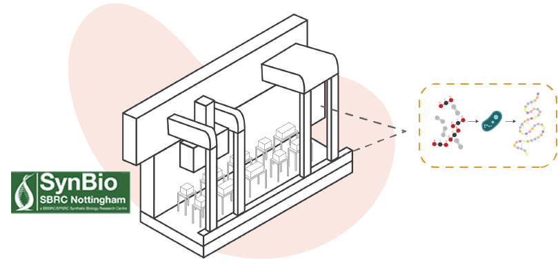 SynBio_p
