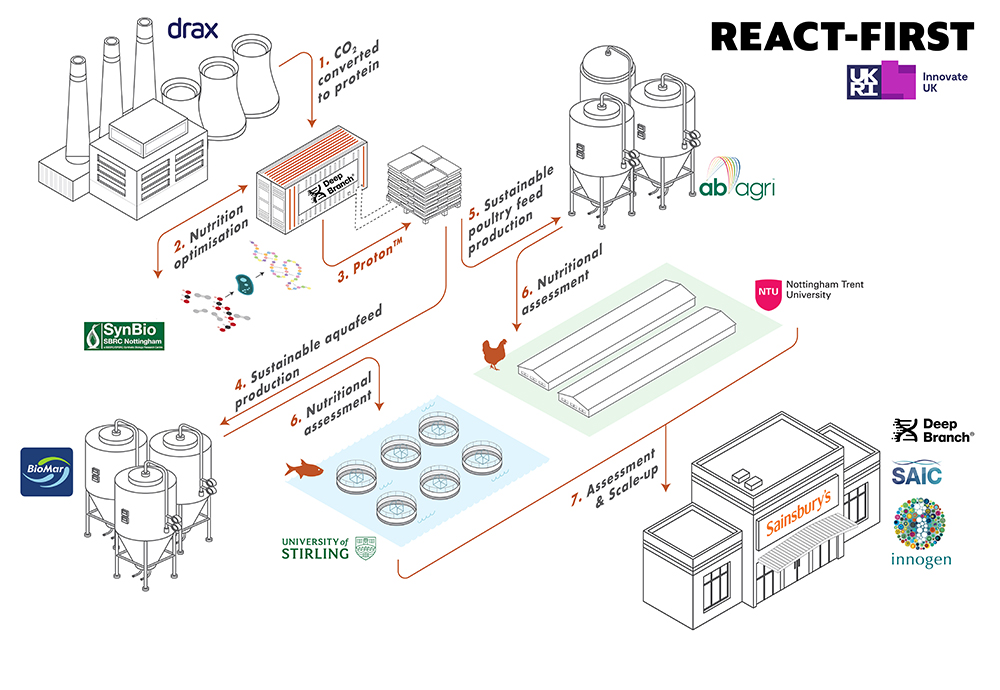 Ecosystem isometric V3