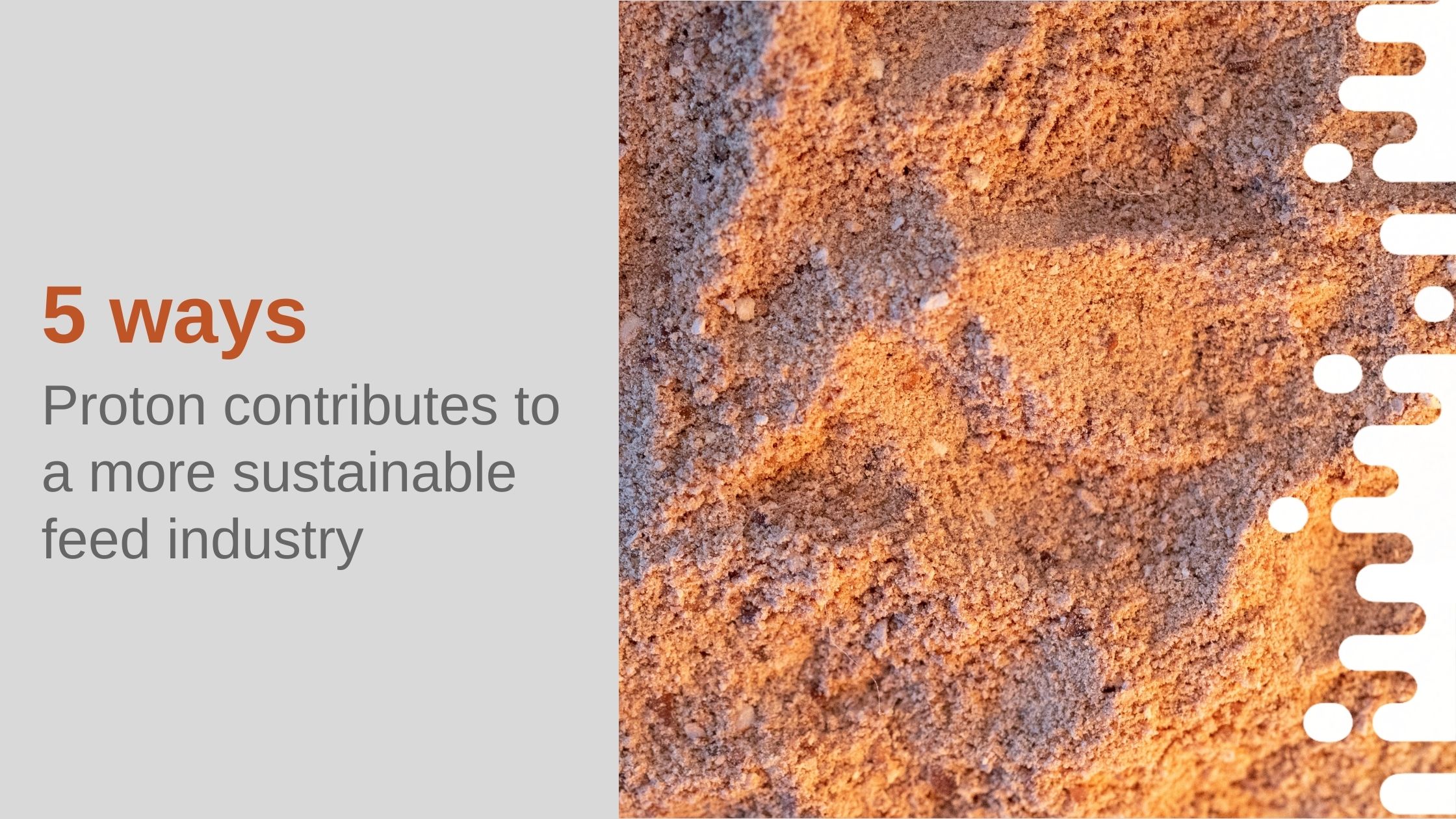 Blog_5 ways Proton Sustainability (1)