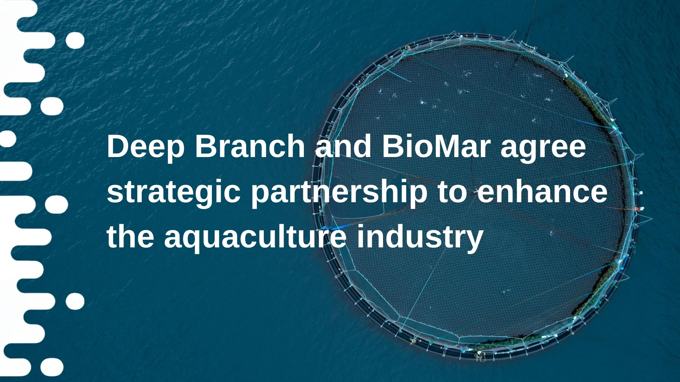 Deep Branch and BioMar agree strategic partnership to enhance the aquaculture industry