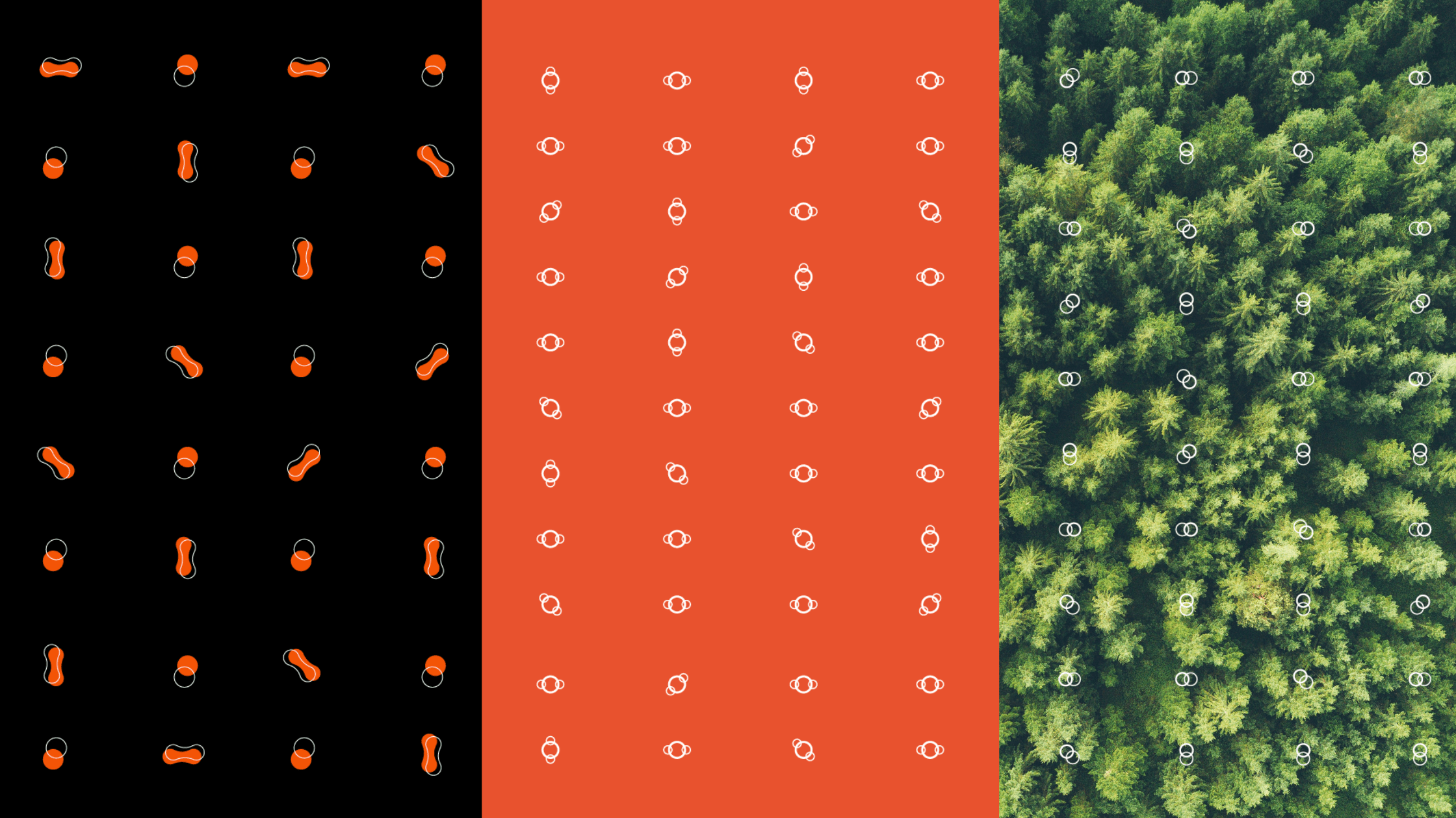 Deep Branch brand refresh story