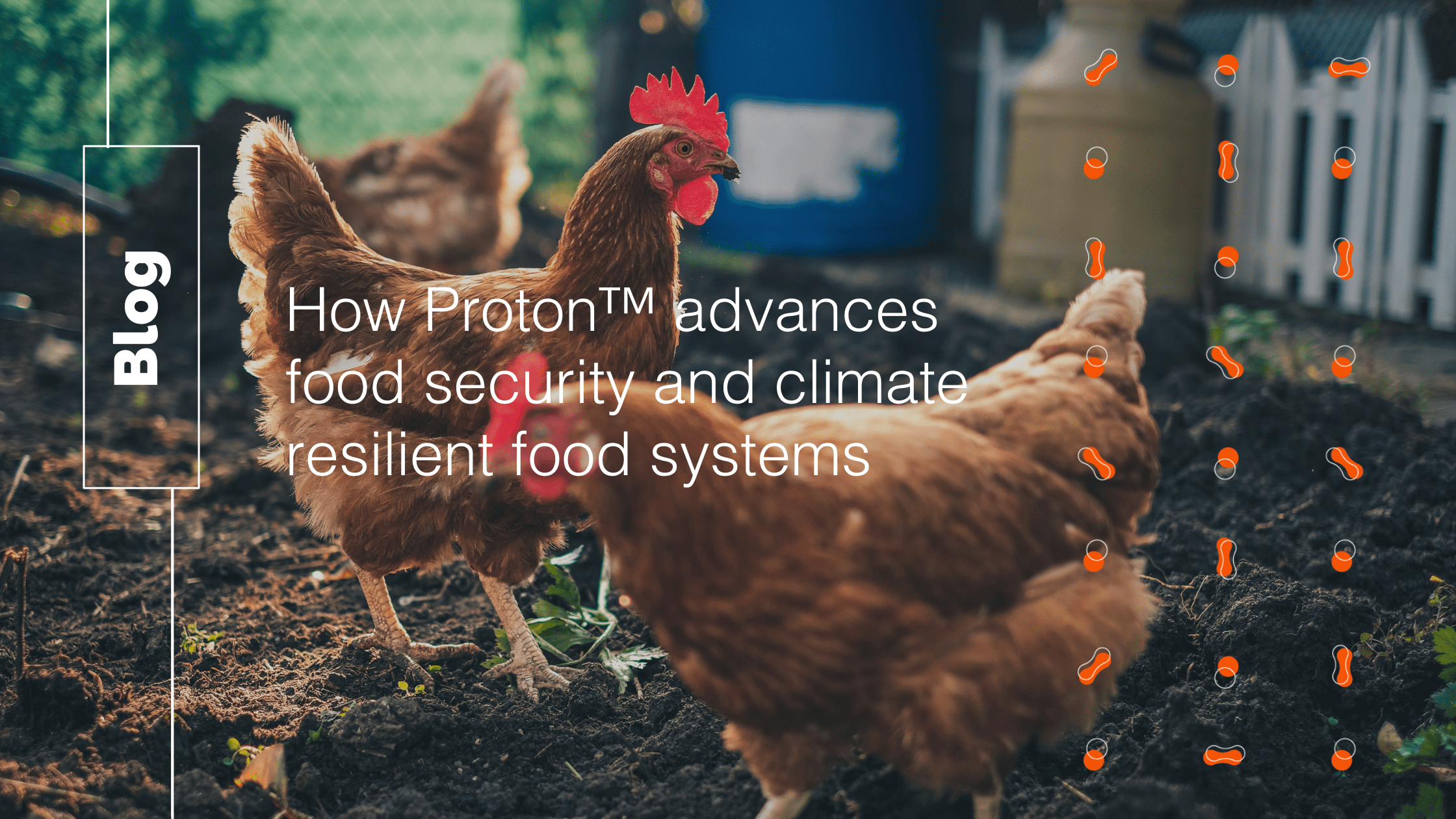 How Proton advances food security and climate resilient food systems